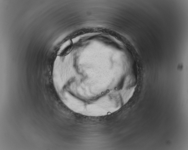 X0000113200871200910081249