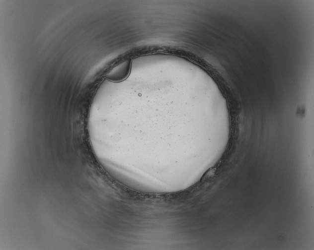 X0000113200872200910081249