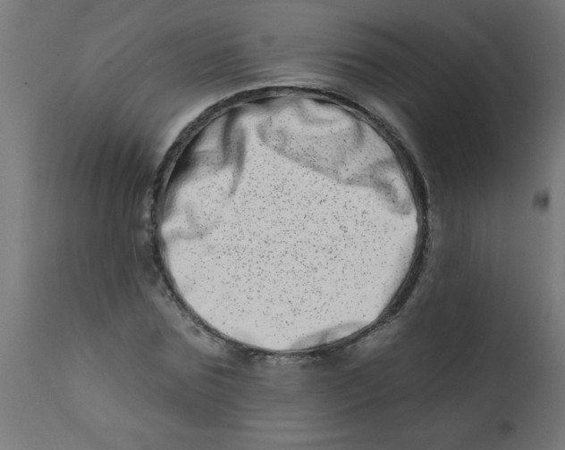 X0000113200875200910081249