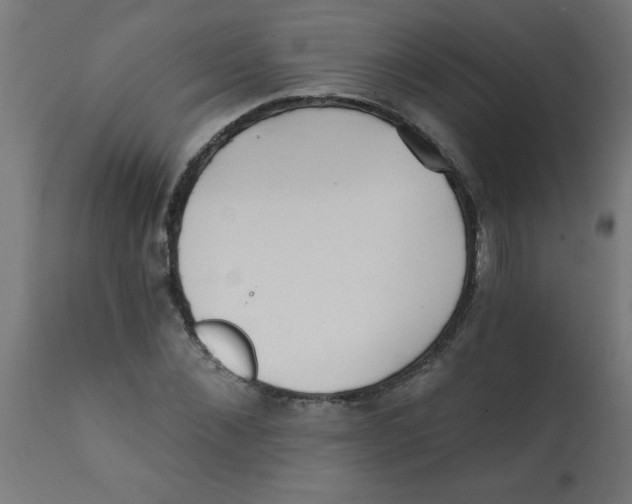 X0000113200876200910081249