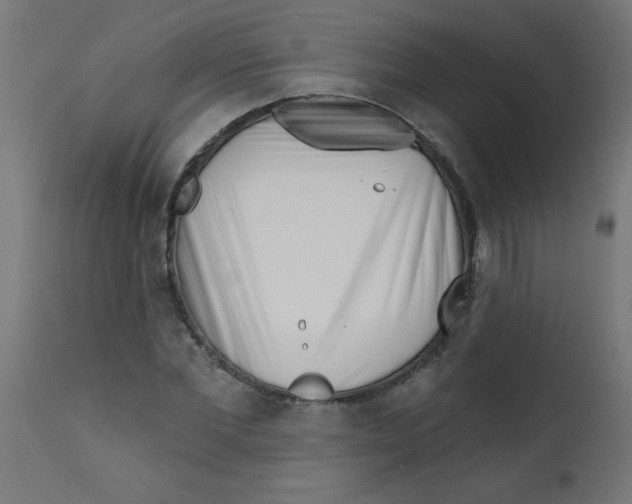 X0000113200877200910081249