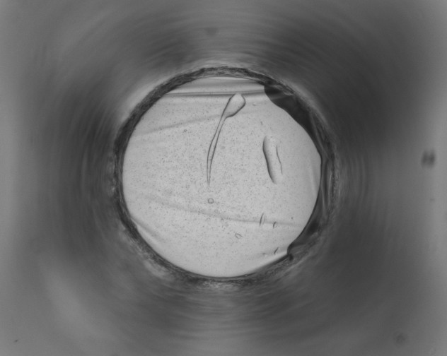 X0000113200878200910081249