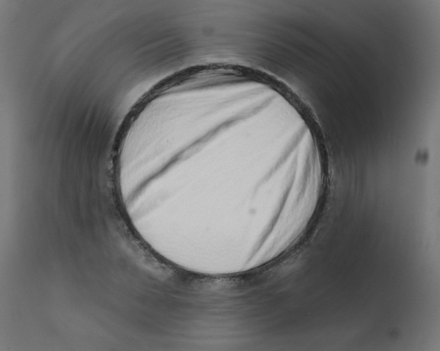 X0000113200879200910081249
