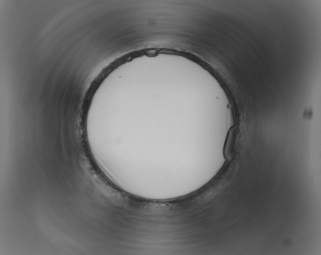 X0000113200880200910081249