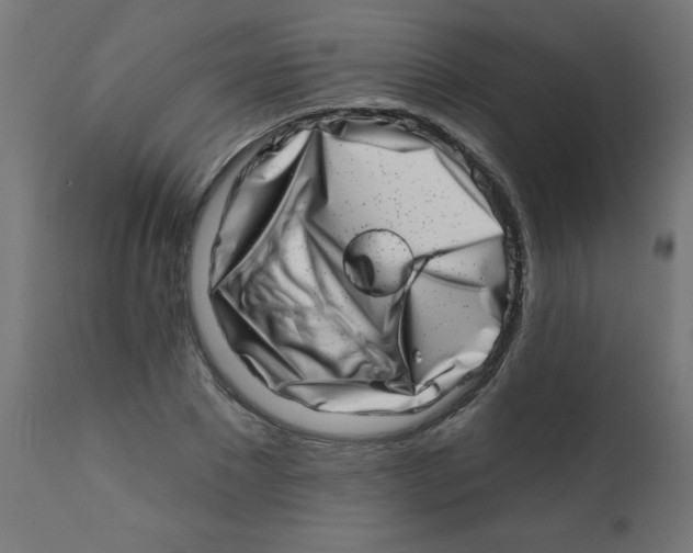 X0000113200881200910081249