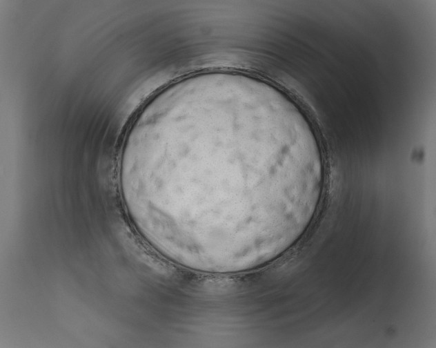 X0000113200882200910081249