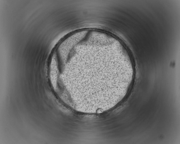 X0000113200883200910081249