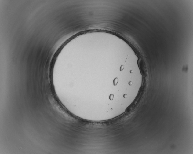 X0000113200884200910081249