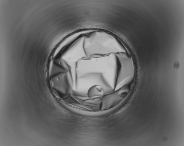 X0000113200885200910081249