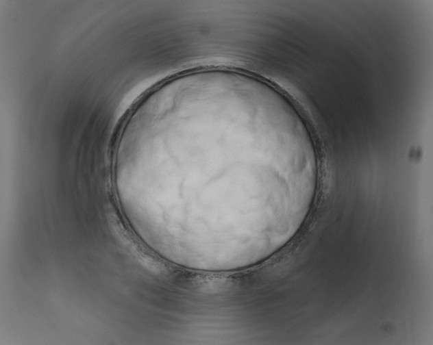 X0000113200886200910081249