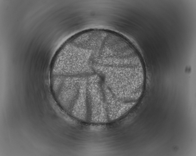 X0000113200887200910081249