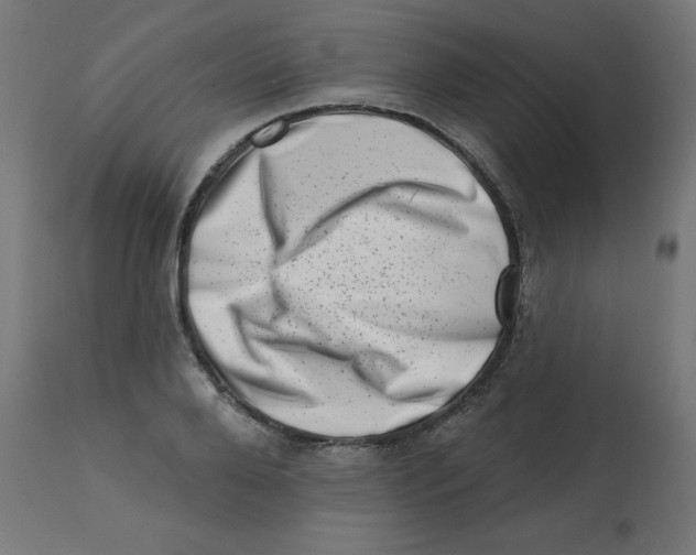 X0000113200888200910081249
