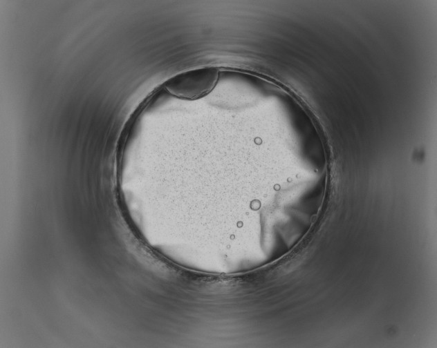 X0000113200891200910081249