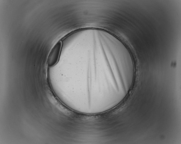 X0000113200892200910081249