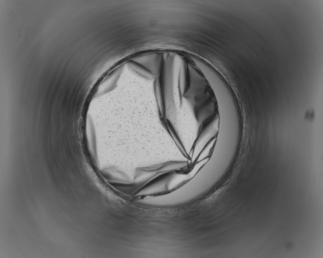 X0000113200893200910081249