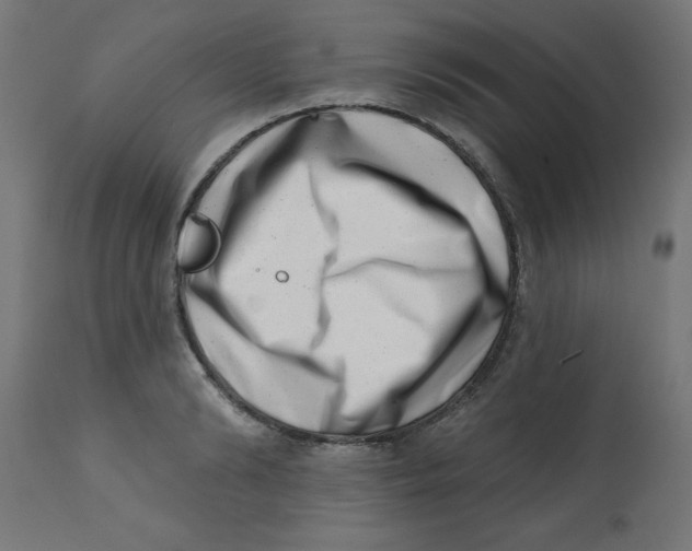 X0000113200894200910081249