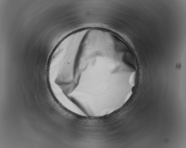 X0000113200895200910081249