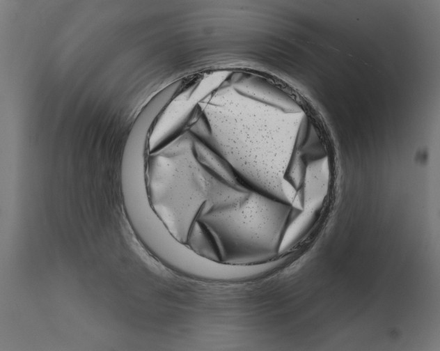 X0000113200897200910081249