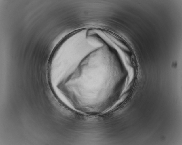 X0000113200899200910081249