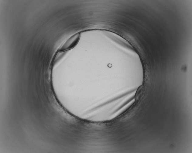 X0000113200900200910081249