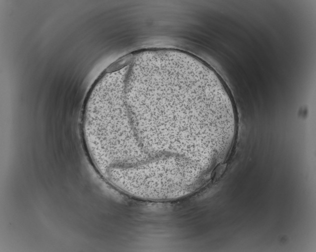 X0000113200901200910081249