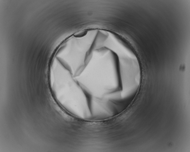 X0000113200902200910081249