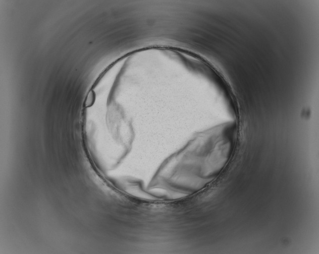 X0000113200903200910081249