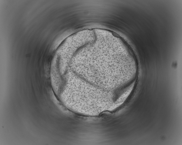 X0000113200905200910081249