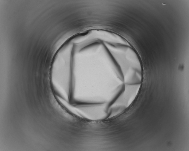 X0000113200906200910081249