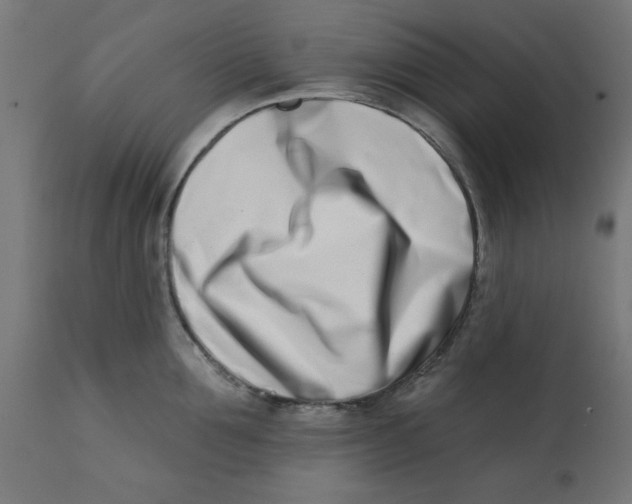 X0000113200907200910081249