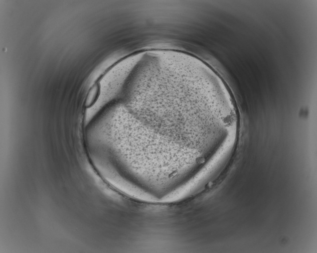 X0000113200909200910081249