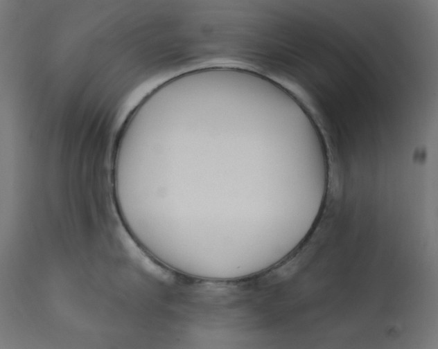 X0000113200910200910081249