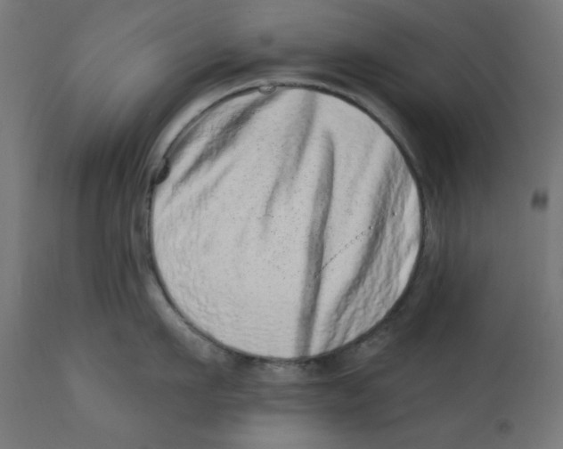 X0000113200911200910081249
