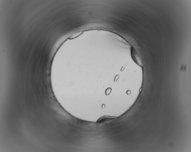 X0000113200912200910081249