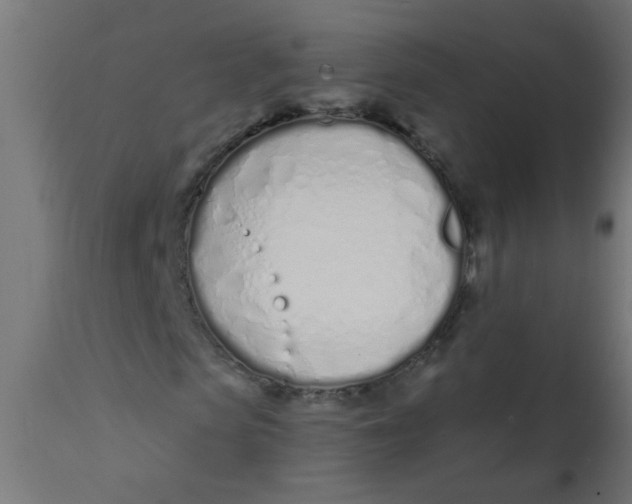 X0000113200913200910081248