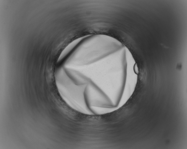X0000113200915200910081248
