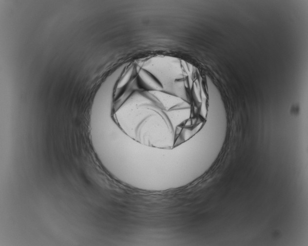 X0000113200916200910081248