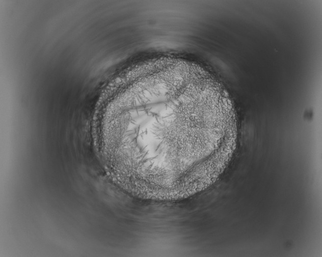 X0000113200917200910081248