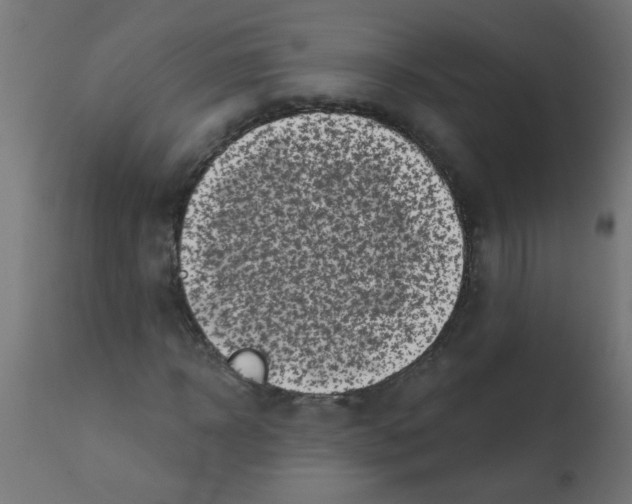 X0000113200918200910081248