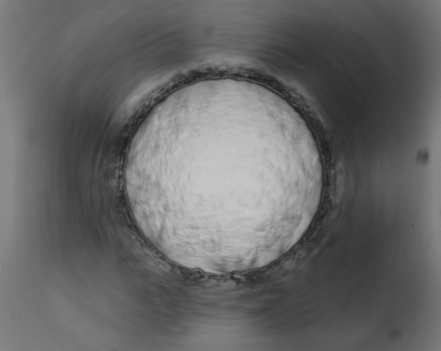 X0000113200919200910081248