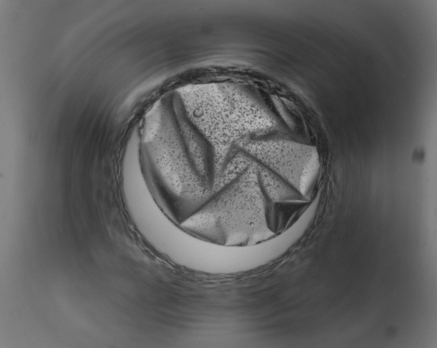 X0000113200920200910081248