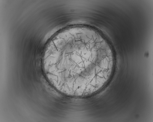 X0000113200921200910081248