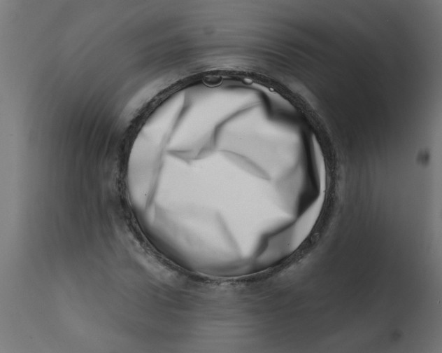 X0000113200922200910081248