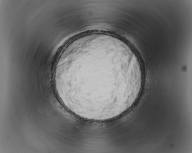 X0000113200923200910081248