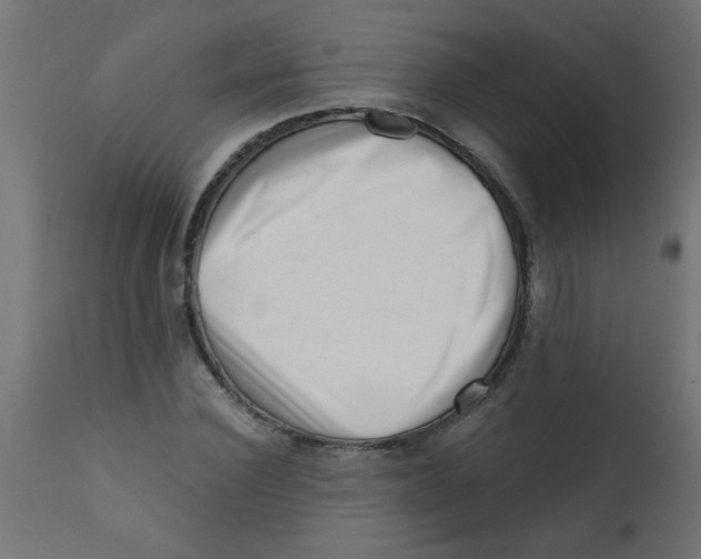 X0000113200924200910081248