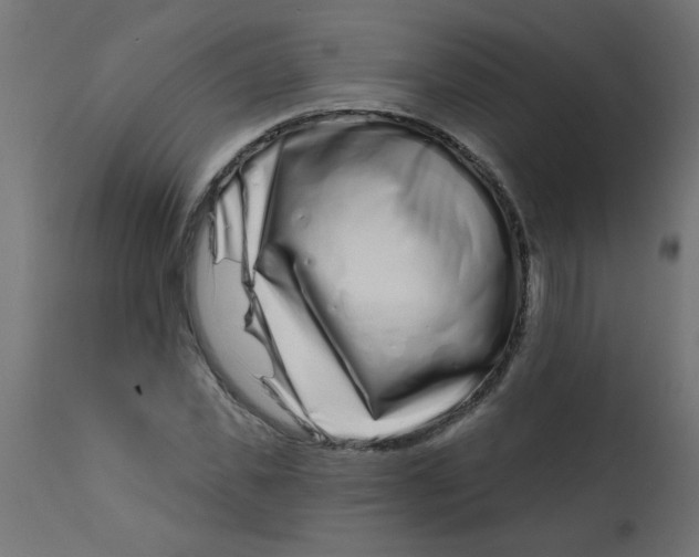 X0000113200925200910081248