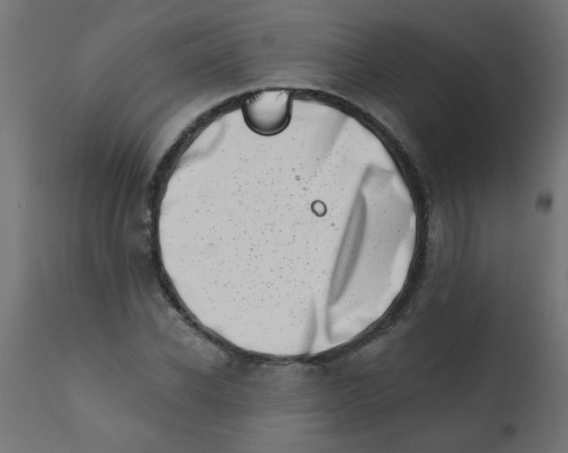 X0000113200926200910081248
