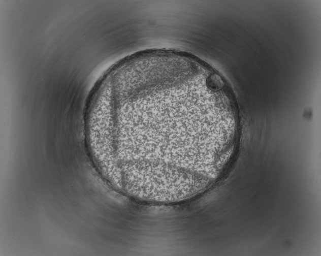 X0000113200927200910081248