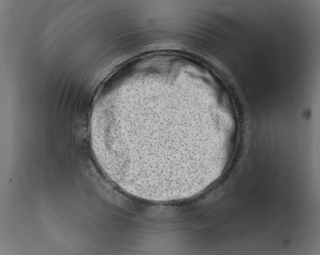 X0000113200929200910081248