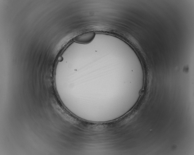 X0000113200930200910081248